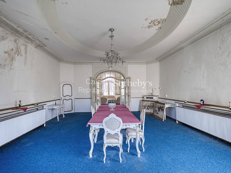 Prodej domu, 2 500 m² (10 z 24)