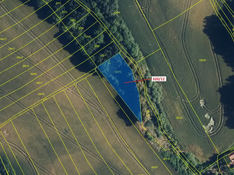 Dražba lesa 1024 m², Výkleky – náhled fotky 2