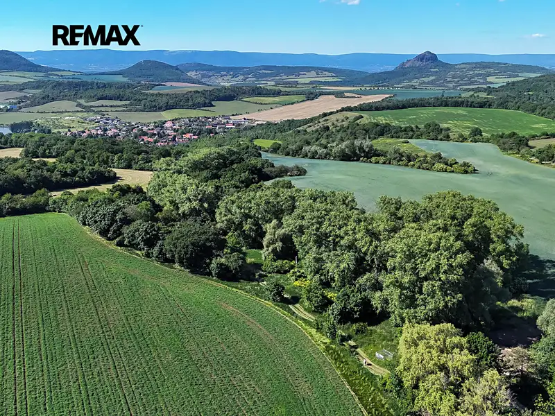 Prodej lesa 5841 m², Skršín – náhled fotky 3