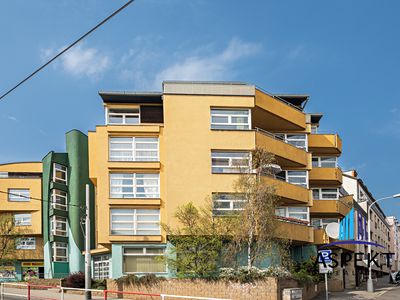 Pronájem obchodního prostoru 224 m²