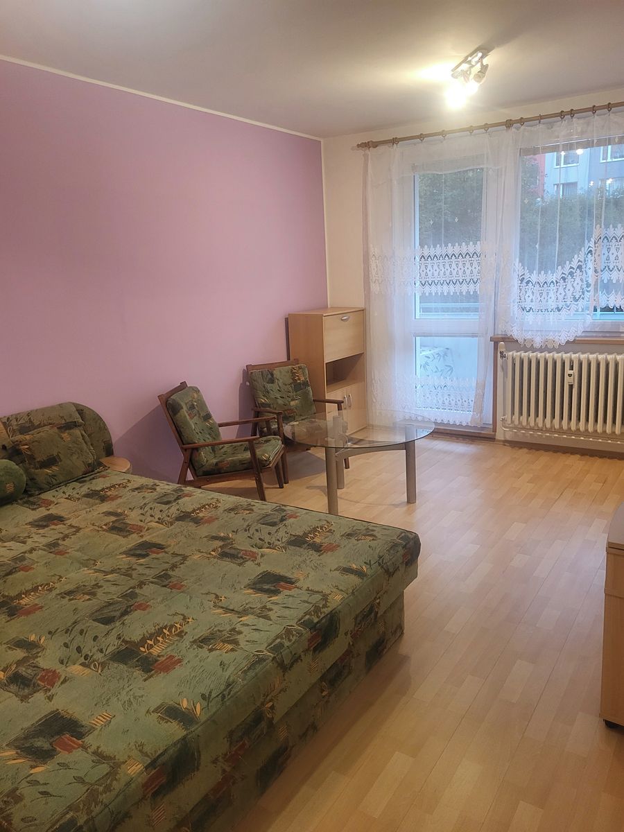 Pronájem bytu 1+1 42 m² – fotografie 4