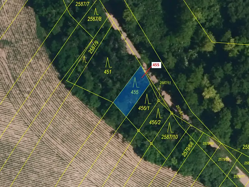 Dražba lesa 151 m², Horní Dunajovice – náhled fotky 2