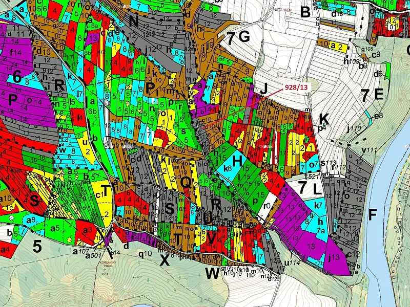 Dražba lesa 1803 m², Hosty – náhled fotky 3