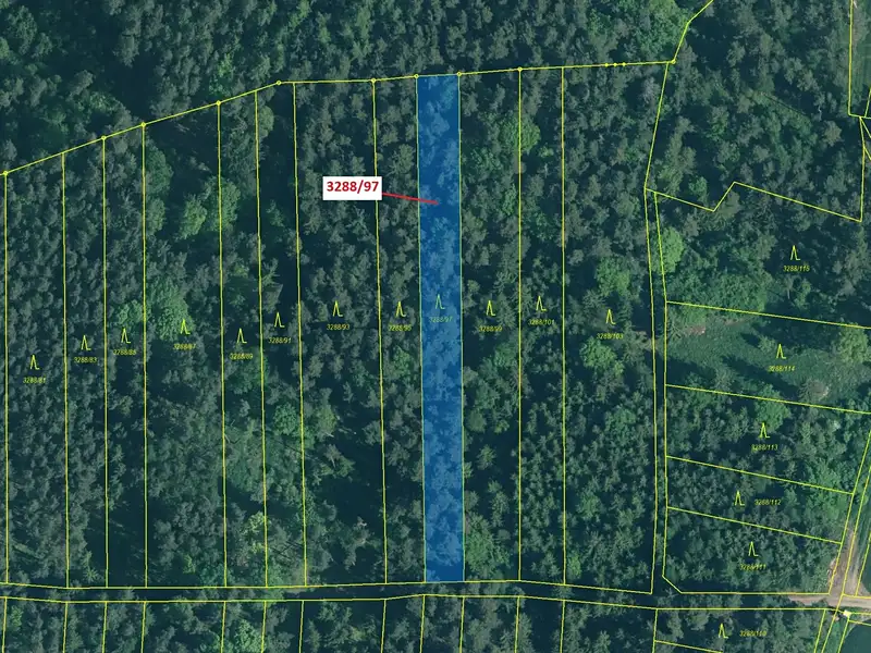 Dražba lesa 1729 m², Hosty – náhled fotky 2