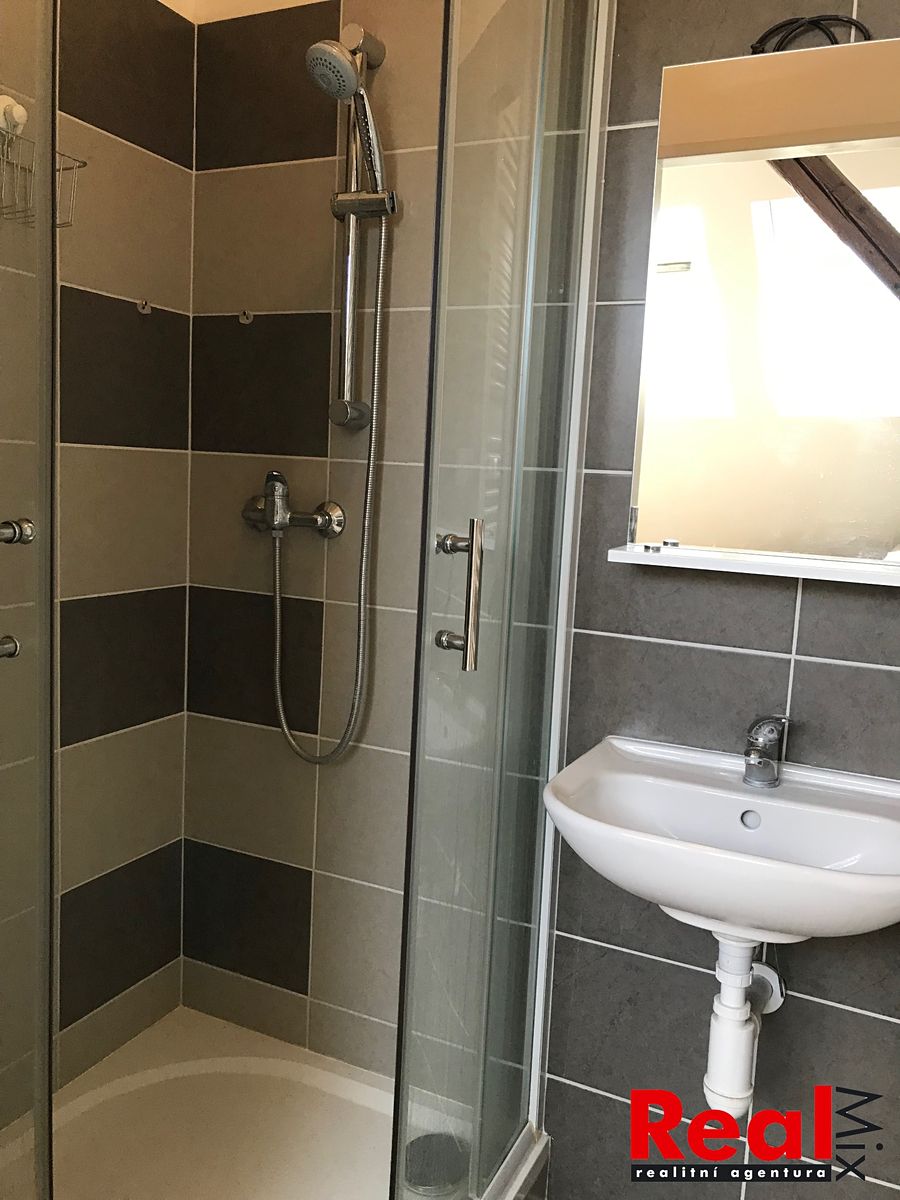 Pronájem bytu 1+kk 31 m² – fotografie 5