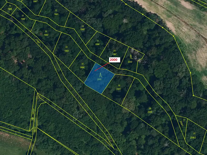 Dražba lesa 504 m², Hluboké Mašůvky – náhled fotky 3