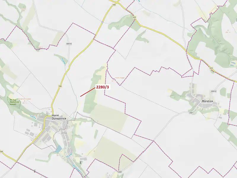 Dražba lesa 8 m², Horní Dunajovice – náhled fotky 1