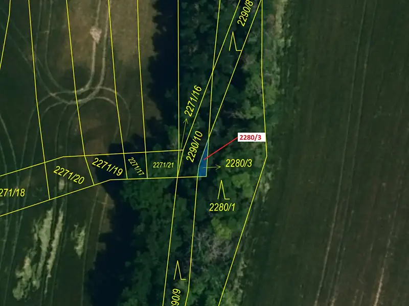Dražba lesa 8 m², Horní Dunajovice – náhled fotky 2