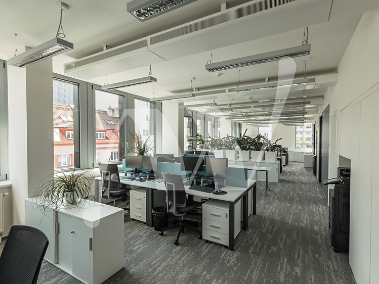 Pronájem komerčního prostoru, 537 m² (10 z 12)