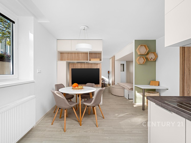 Prodej bytu 1+kk, 46 m² (4 z 15)