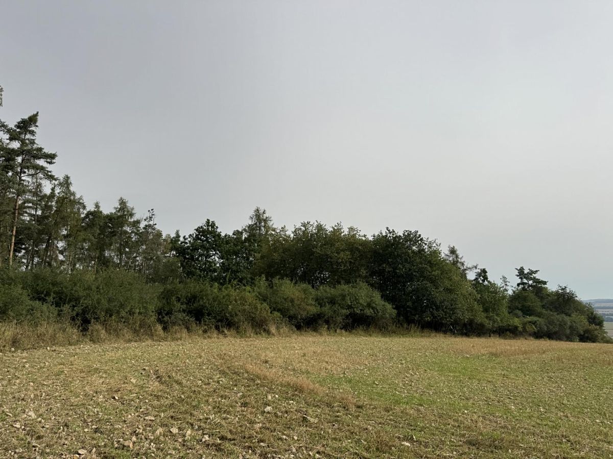 Prodej lesa 11916 m² – fotografie 2