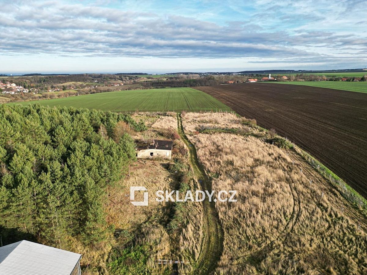 Pronájem komerčního pozemku 8000 m² – fotografie 5