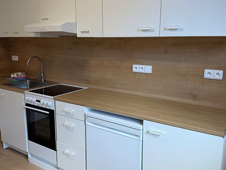 Pronájem bytu 2+1, 56 m² (3 z 16)