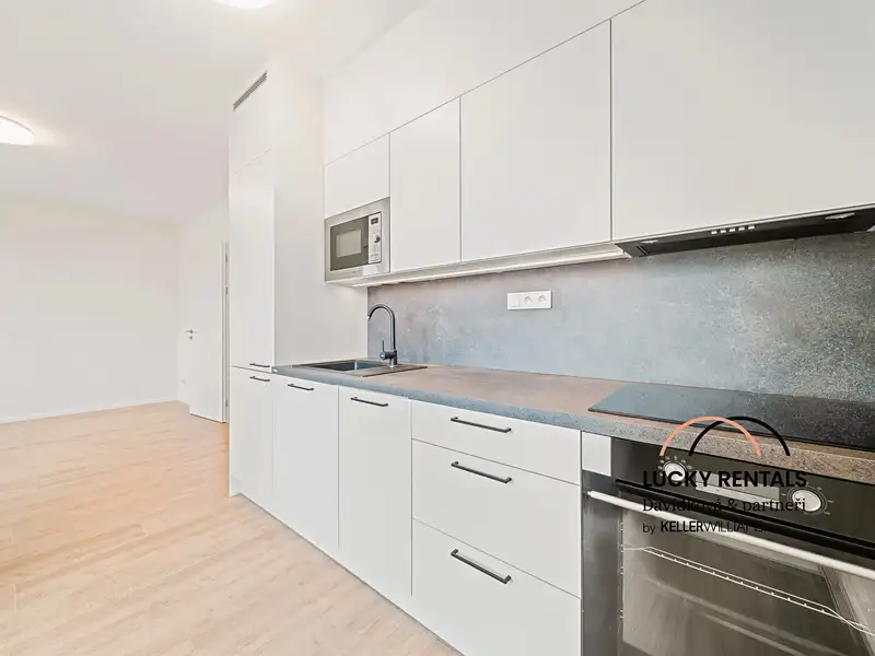 Pronájem bytu 1+kk 32 m², Praha – náhled fotky 1
