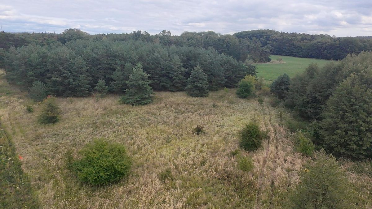 Prodej pozemku 15382 m² – fotografie 3