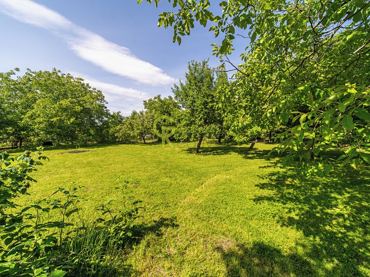 Grundstück zum Kauf, 960 m² (2 von 8)
