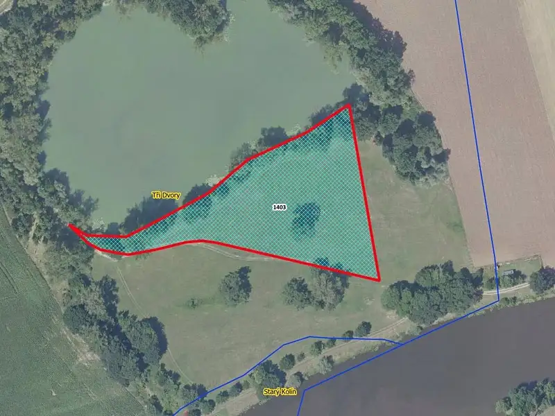 Prodej louky 9469 m², Tři Dvory – náhled fotky 1