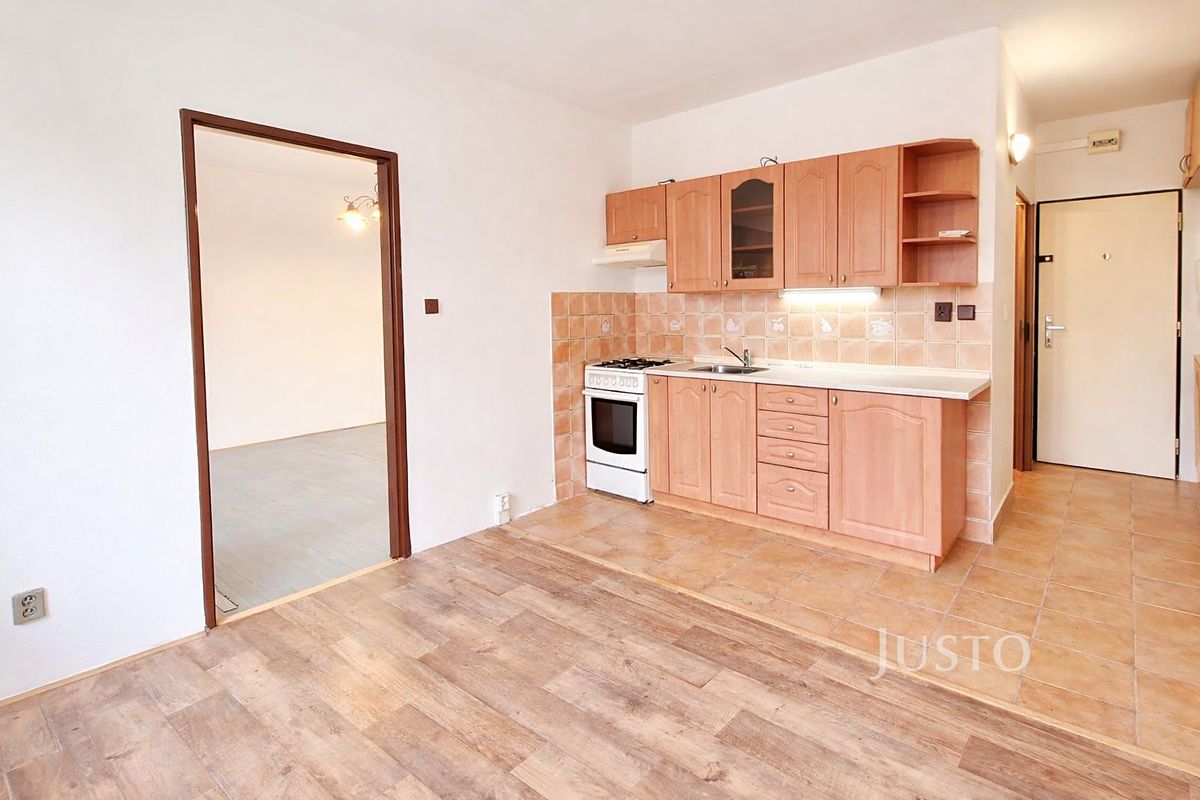 Pronájem bytu 1+1 38 m² – fotografie 3