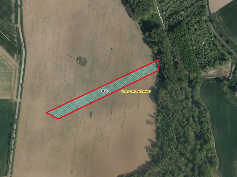 Prodej pole 9277 m², Ronov nad Doubravou – náhled fotky 1