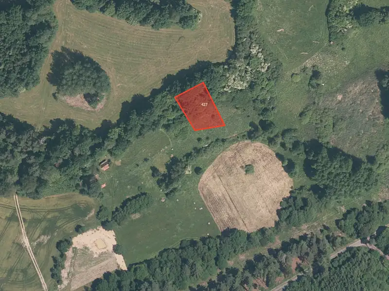 Prodej pole 11167 m², Plánice – náhled fotky 3