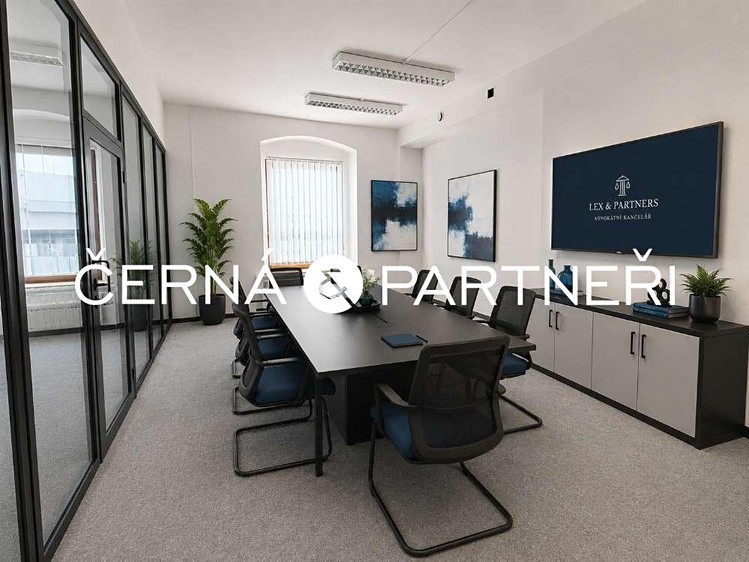 Комерційне приміщення в оренду, 264 м² (8 з 12)