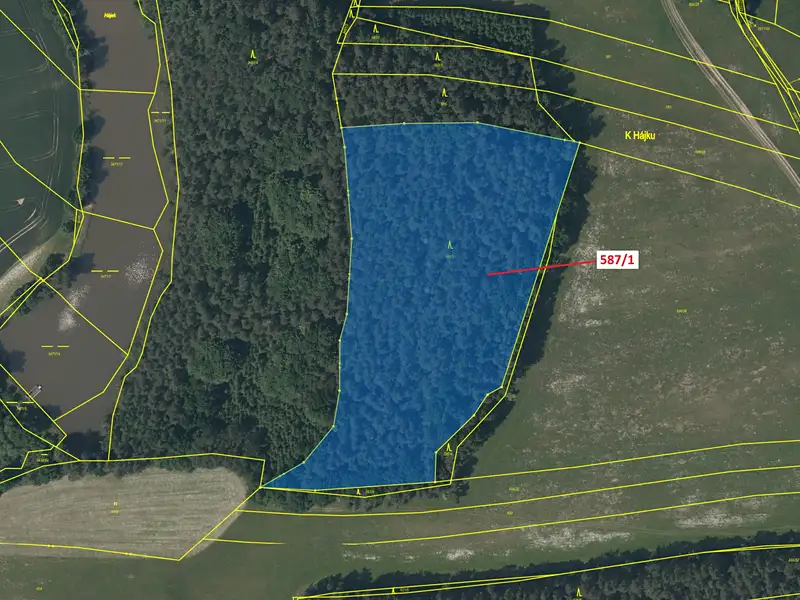 Dražba lesa 20443 m², Trhové Sviny – náhled fotky 2
