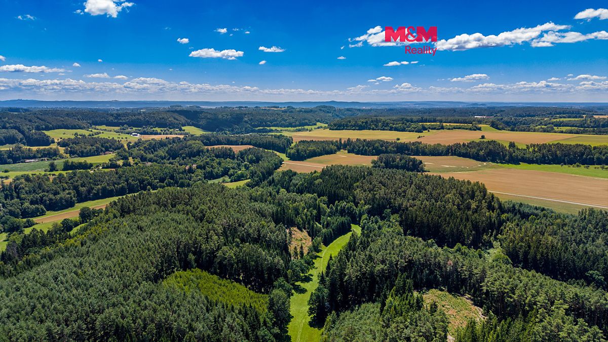 Prodej lesa 57919 m²