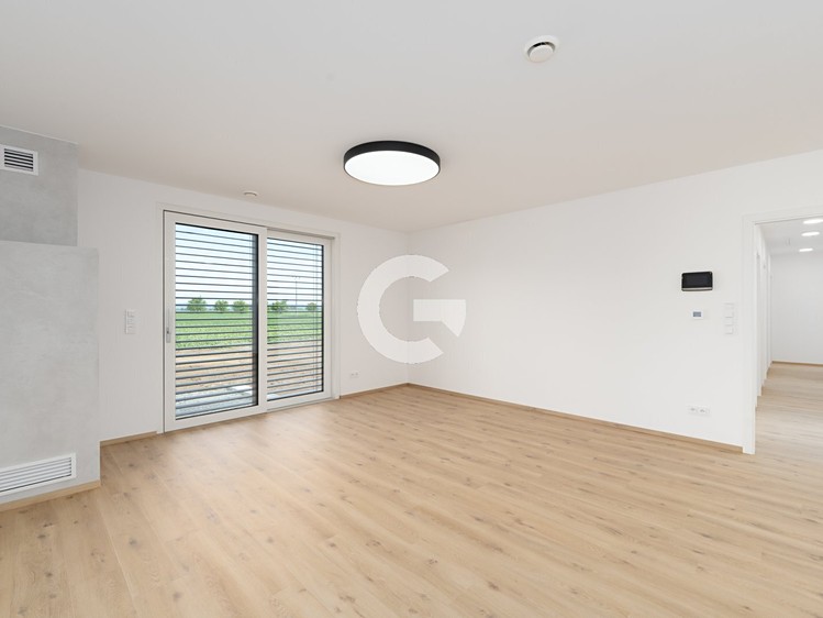 Haus zum Kauf, 113 m² (4 von 38)