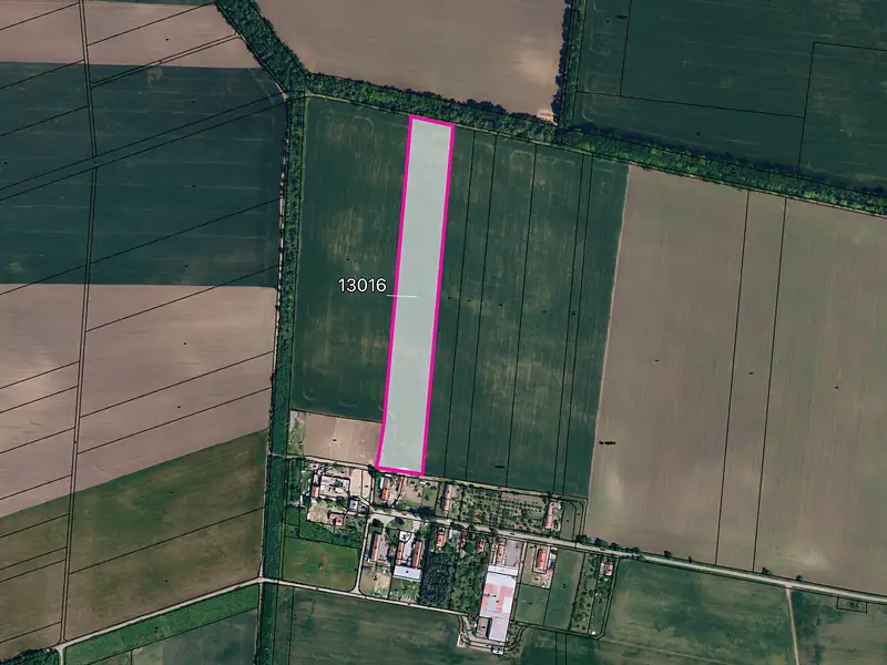 Prodej pole 32051 m², Hrušovany nad Jevišovkou – náhled fotky 1