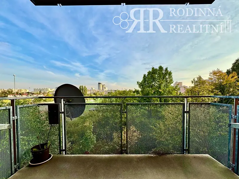 Pronájem bytu 4+kk 102 m², Praha – náhled fotky 3