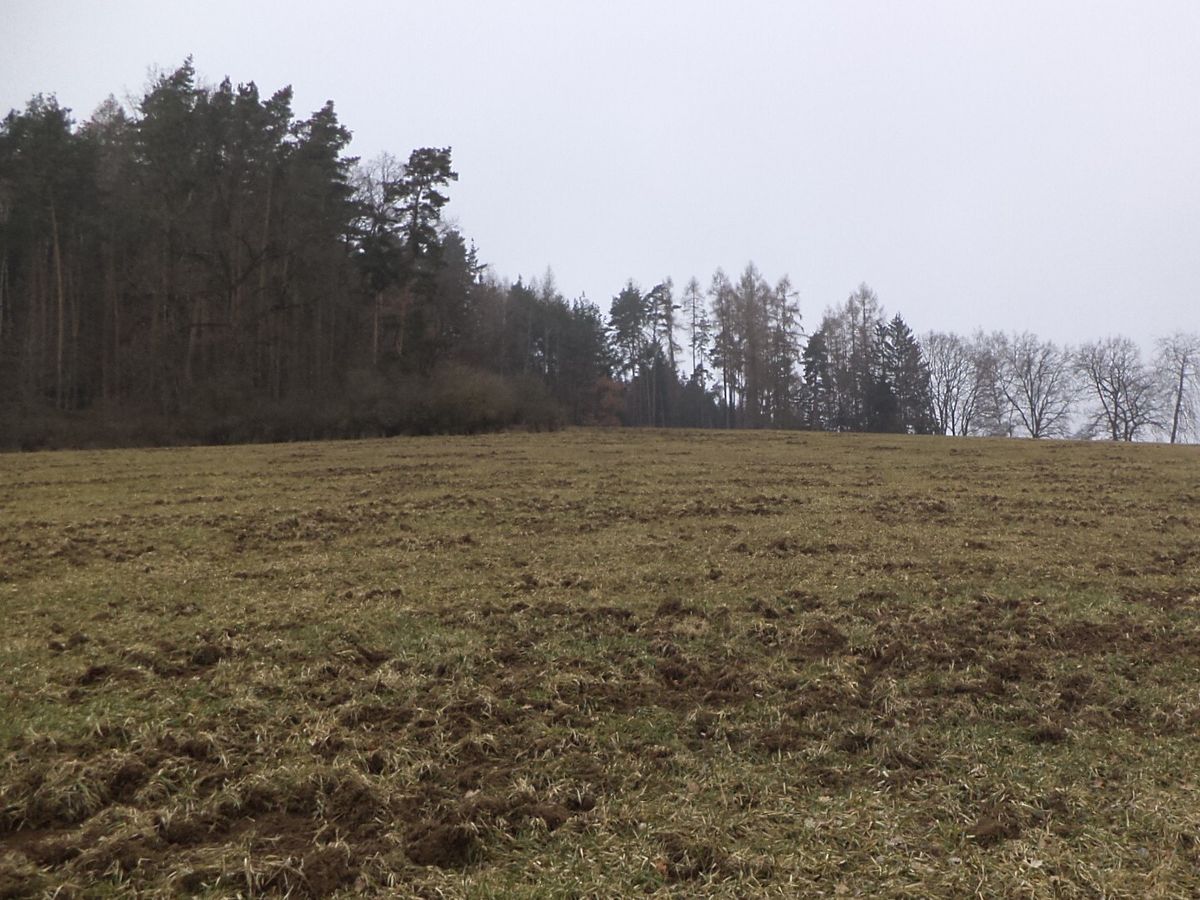 Dražba pole 9983 m², Zvěstov – fotka 1 z 3