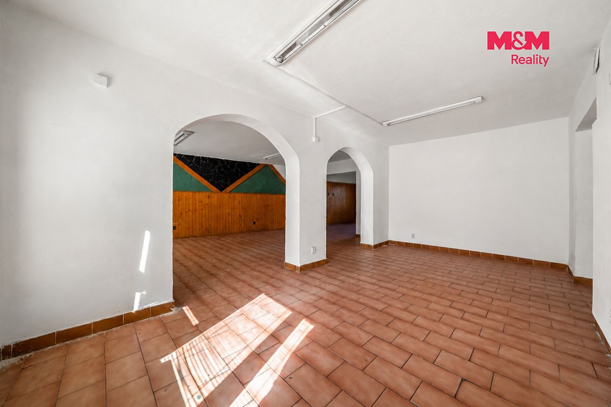 Prodej obchodního prostoru 220 m² – fotografie 3