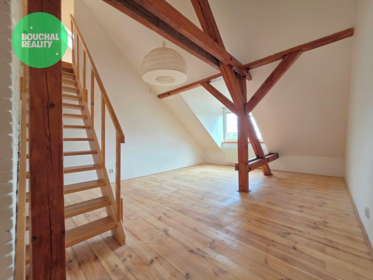 Wohnung 4+kk zur Miete, 105 m² (11 von 32)