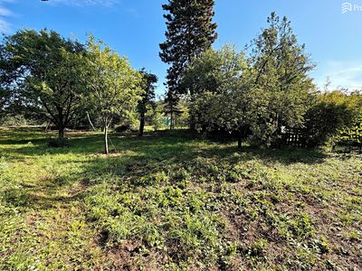 Prodej zahrady 642 m²