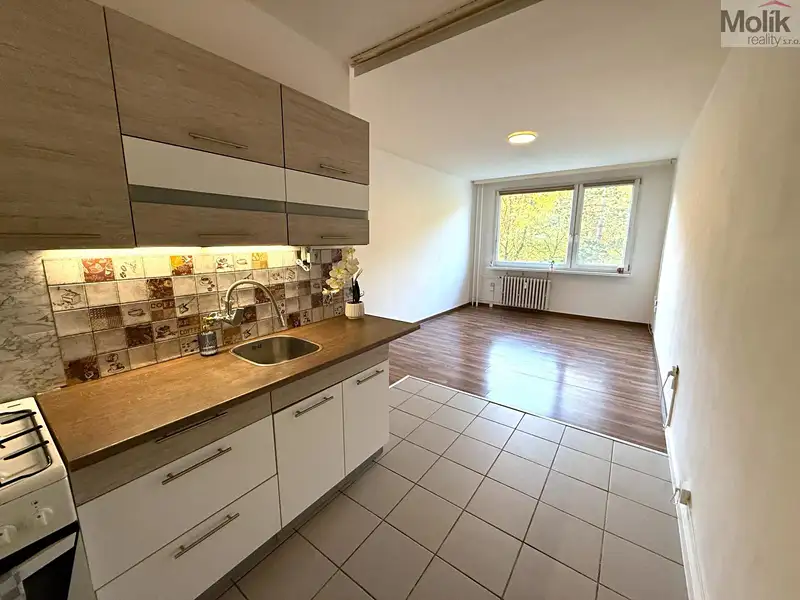Pronájem bytu 2+kk, 40 m², Most