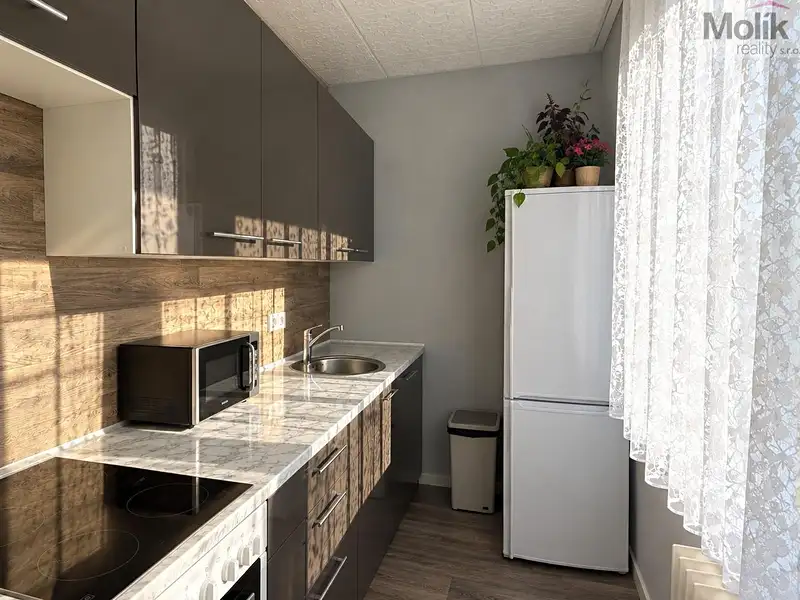 Pronájem bytu 1+1 26 m², Most – náhled fotky 1