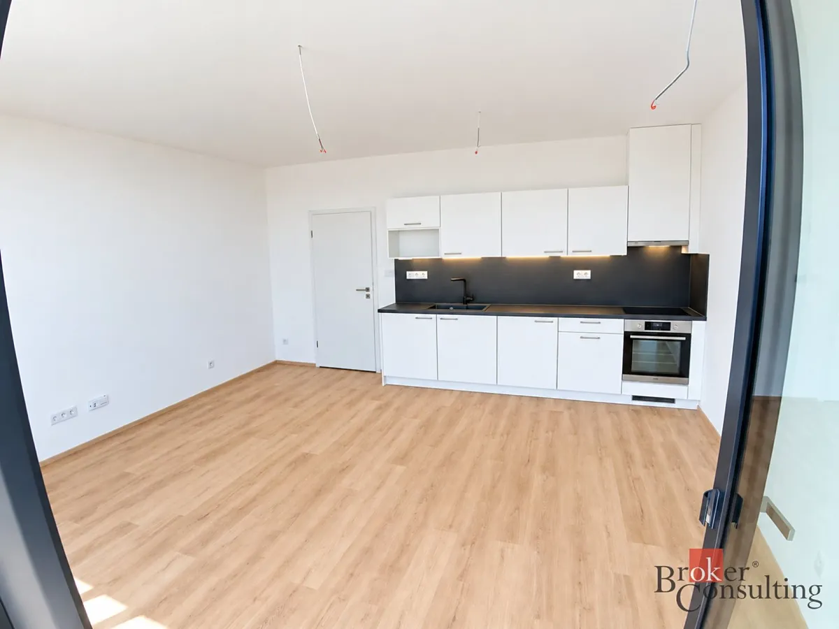 Pronájem bytu 1+kk 42 m²