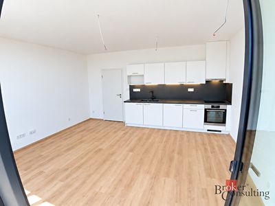 Pronájem bytu 1+kk 42 m²