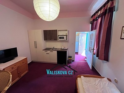Pronájem bytu 1+kk, 29 m² (2 z 15)