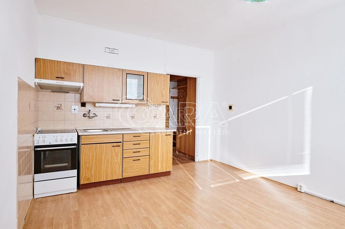 Pronájem bytu 1+1 37 m² – fotografie 3