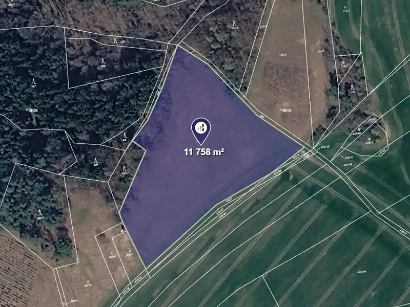 Prodej louky 11758 m², Kunštát – náhled fotky 1
