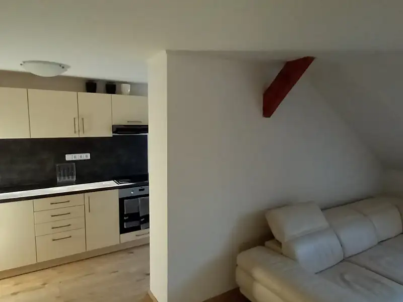 Pronájem bytu 2+1 66 m², Ústí nad Labem – náhled fotky 3