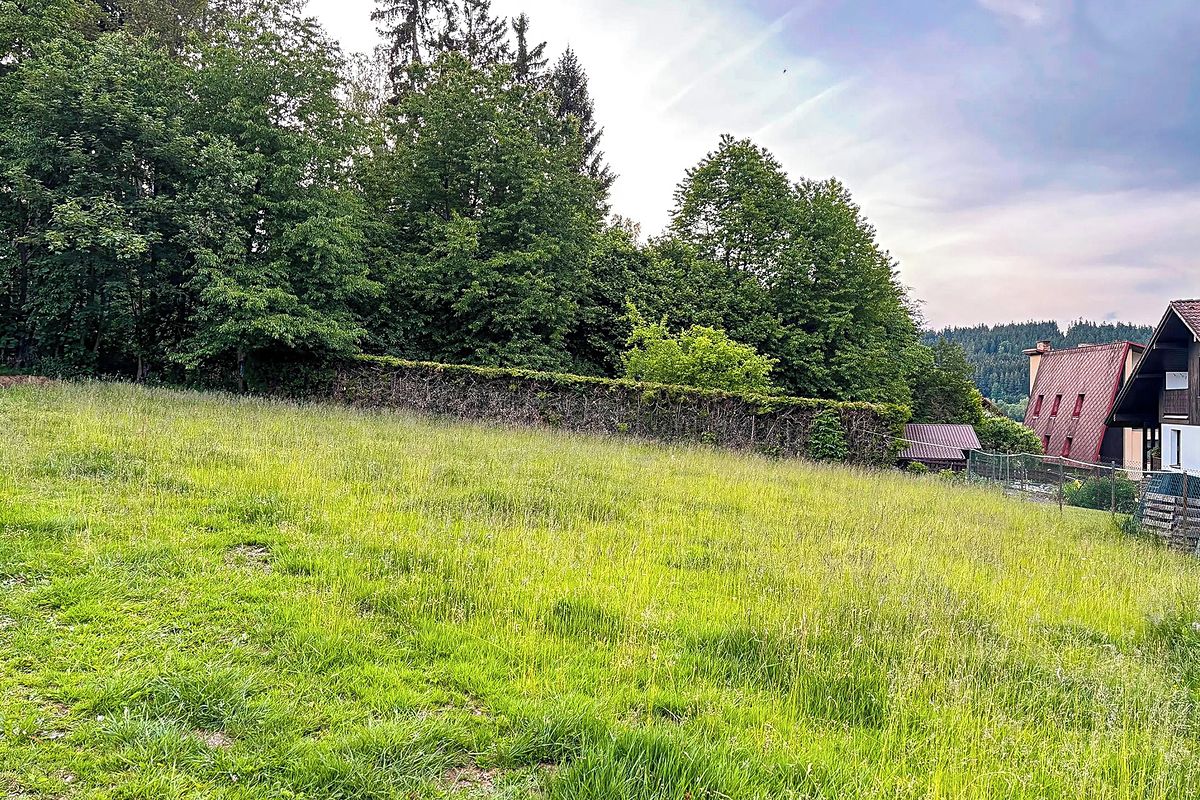 Prodej stavebního pozemku 2628 m² – fotografie 5