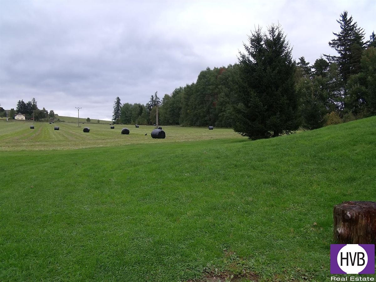 Prodej pozemku 3860 m² – fotografie 4