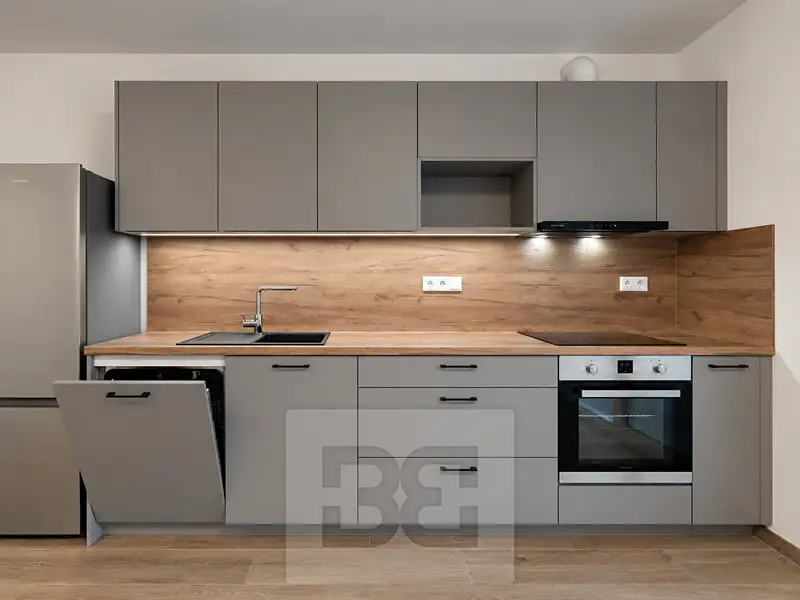 Pronájem bytu 2+kk 55 m², České Budějovice – náhled fotky 3
