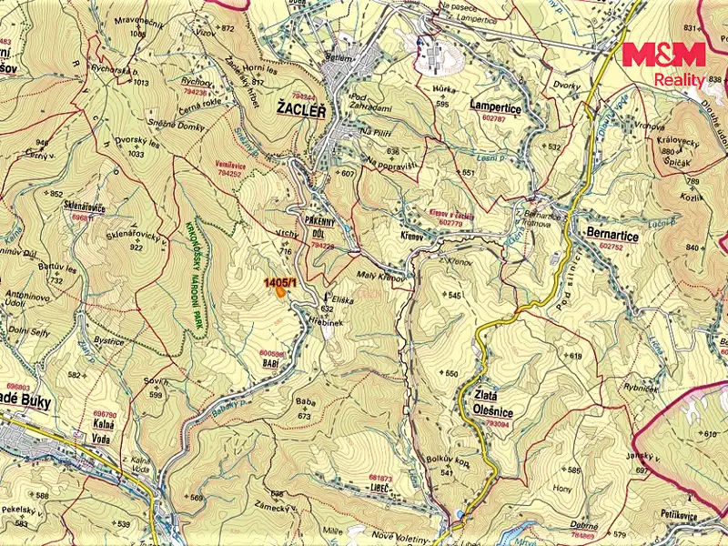 Prodej lesa 13585 m², Trutnov – náhled fotky 3