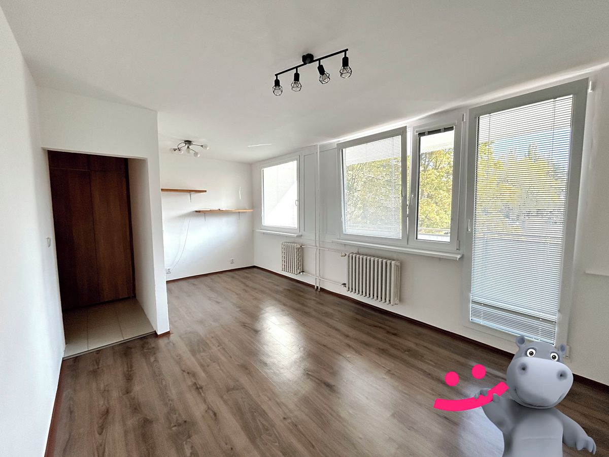 Pronájem bytu 1+kk 33 m² – fotografie 4