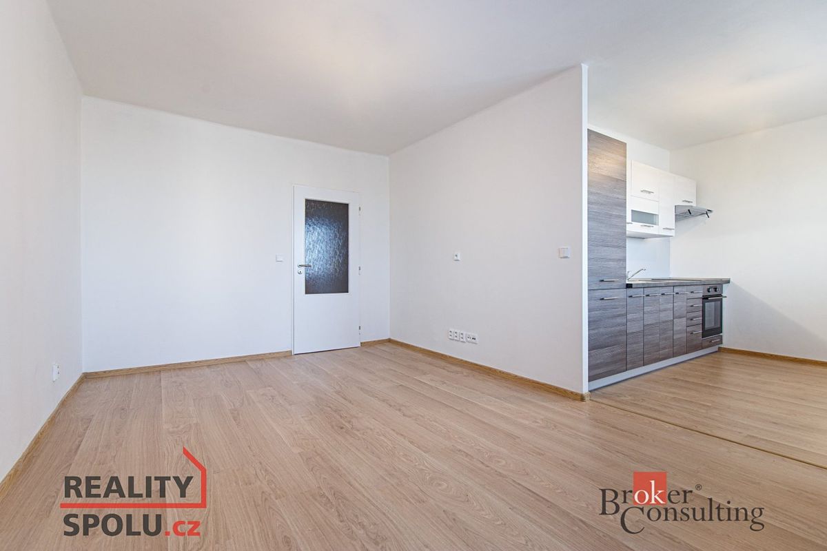 Pronájem bytu 1+1 39 m²