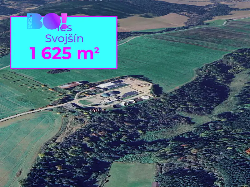Prodej lesa 1625 m², Svojšín – náhled fotky 1