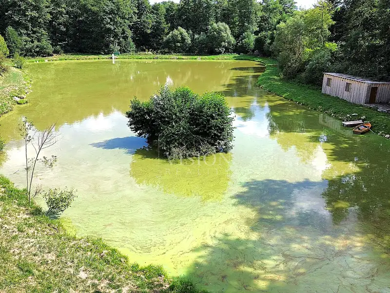Prodej rybníku (vodní plochy) 7129 m², Slavonice – náhled fotky 3